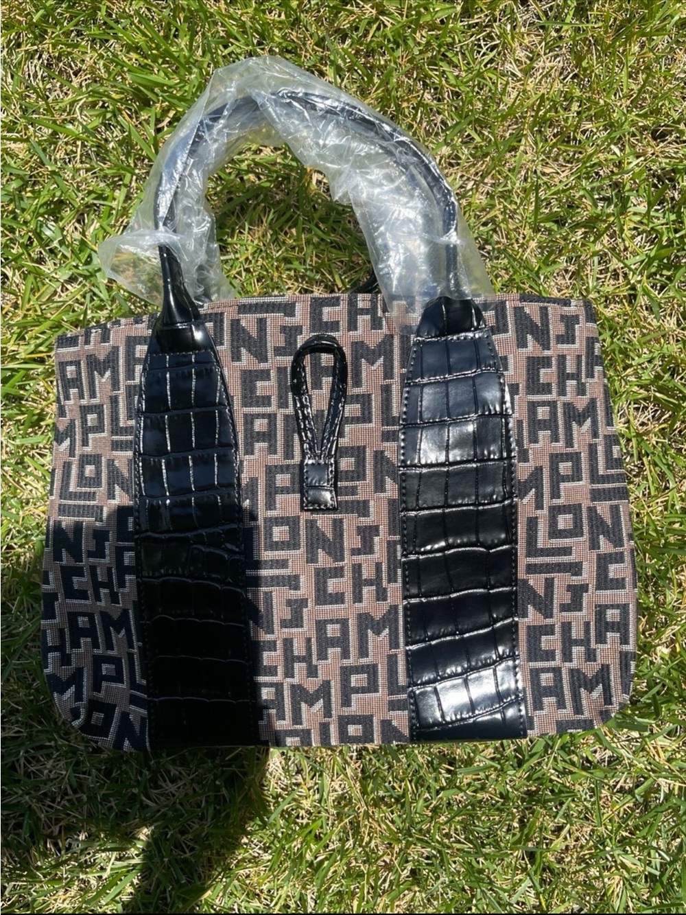 LongChamp Tote Bag